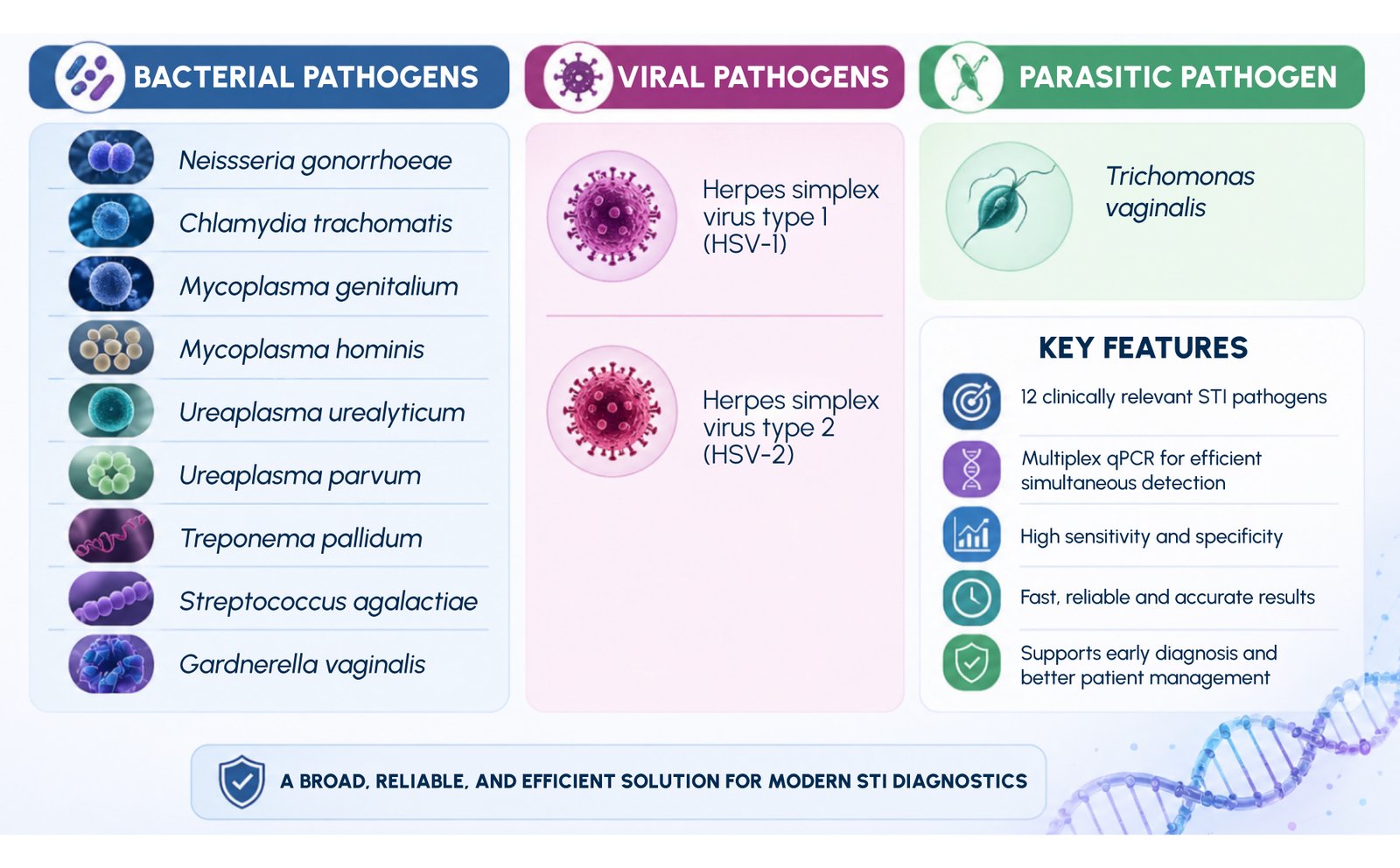 Figure 2: The LyoSens ™ STI ID-12 Genotyping qPCR Kit includes detection of the 12 key pathogens.