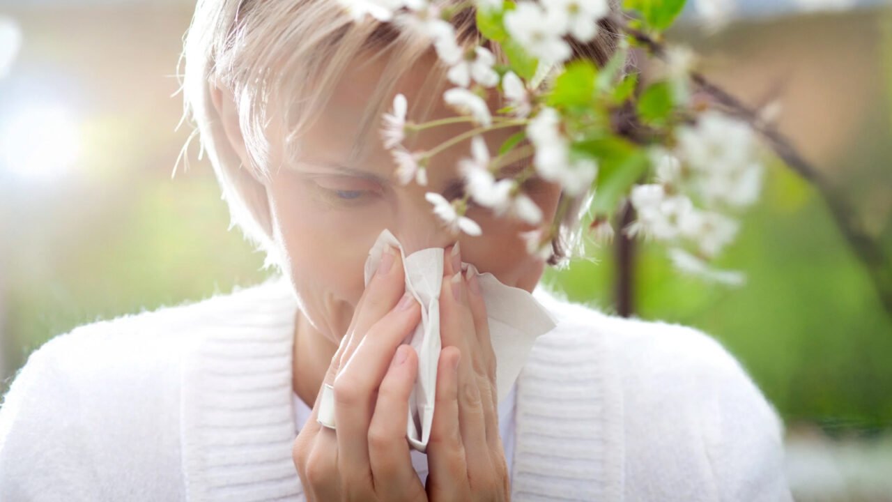 Spring Allergy Season and Total IgE Testing: How Rapid Quantitative Measurement Guides Allergy Assessment in Primary Care
