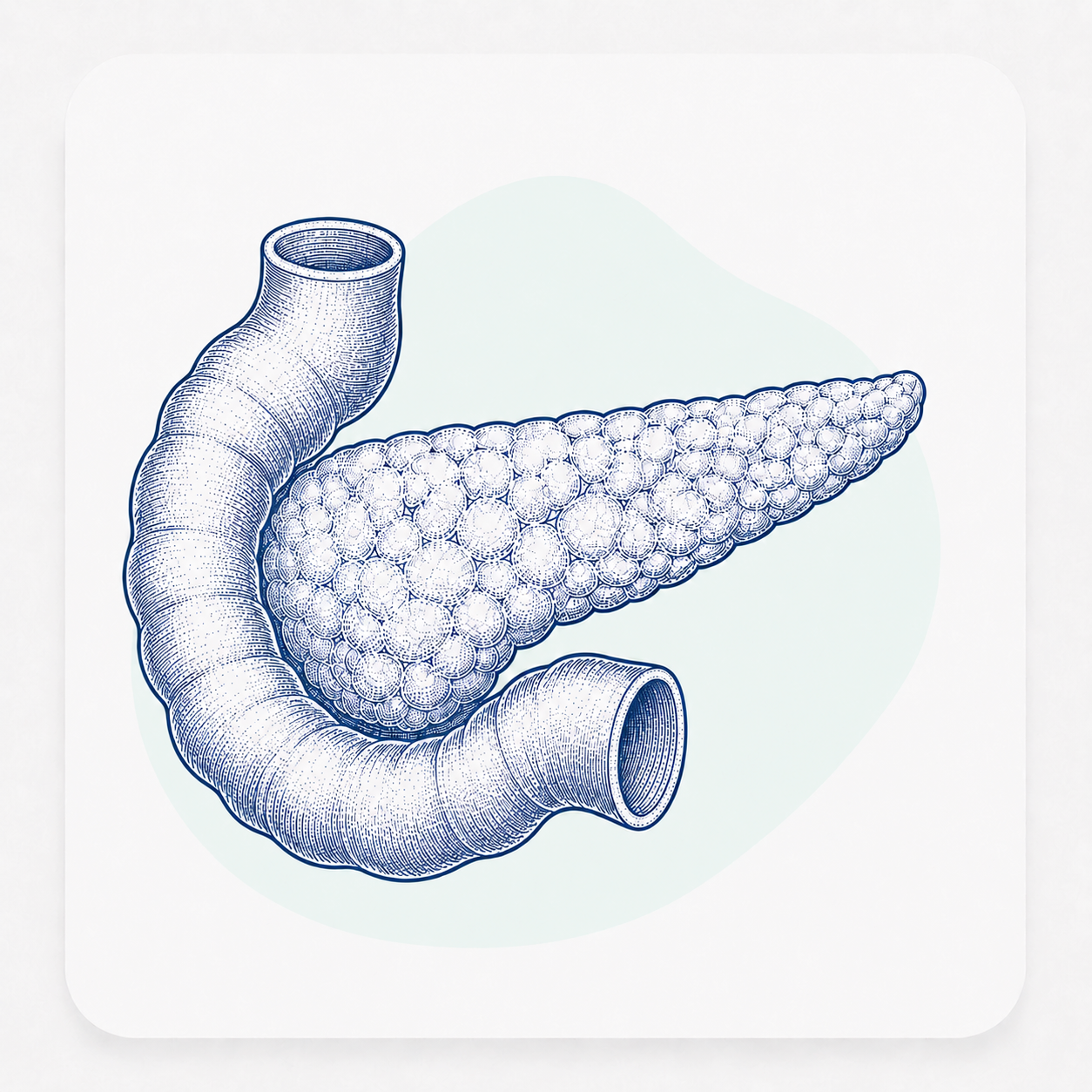 https://vitrosens.com/wp-content/uploads/2026/06/Diabetes-Tests-3.png