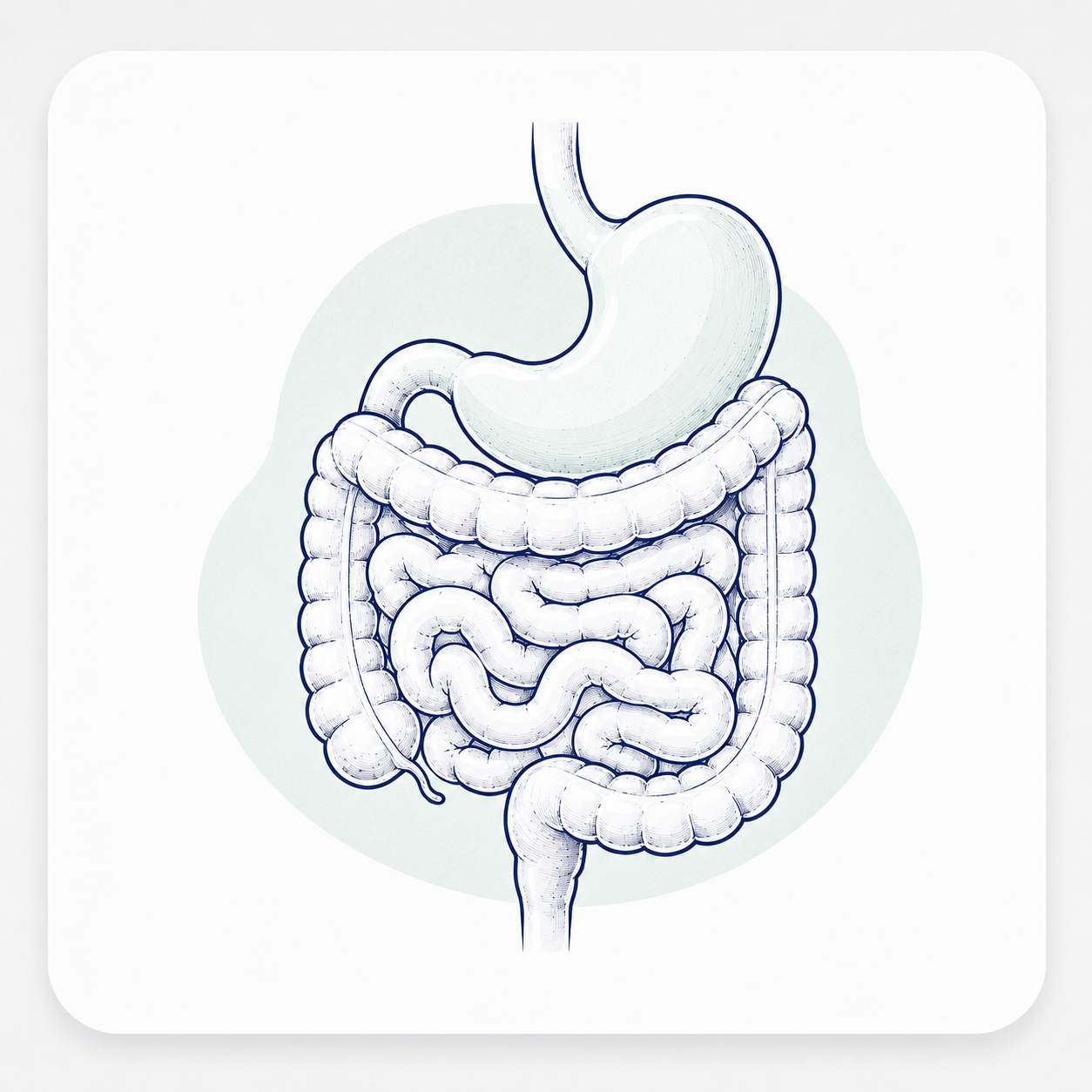 https://vitrosens.com/wp-content/uploads/2026/06/Gastrointestinal.png