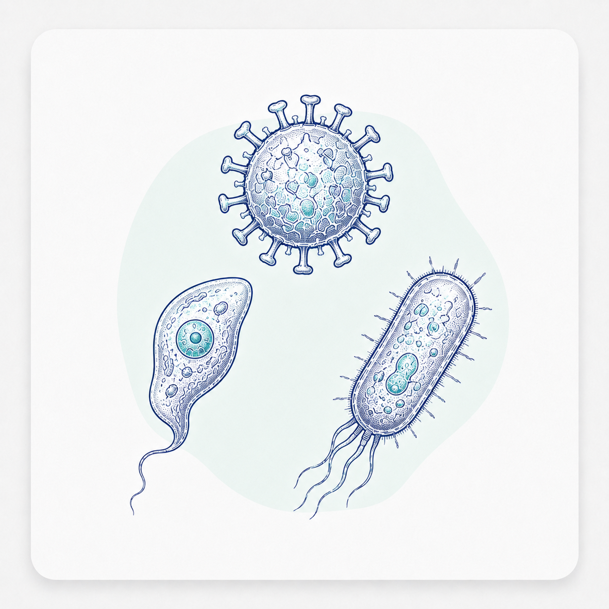 https://vitrosens.com/wp-content/uploads/2026/06/Infectious-Diseases.png