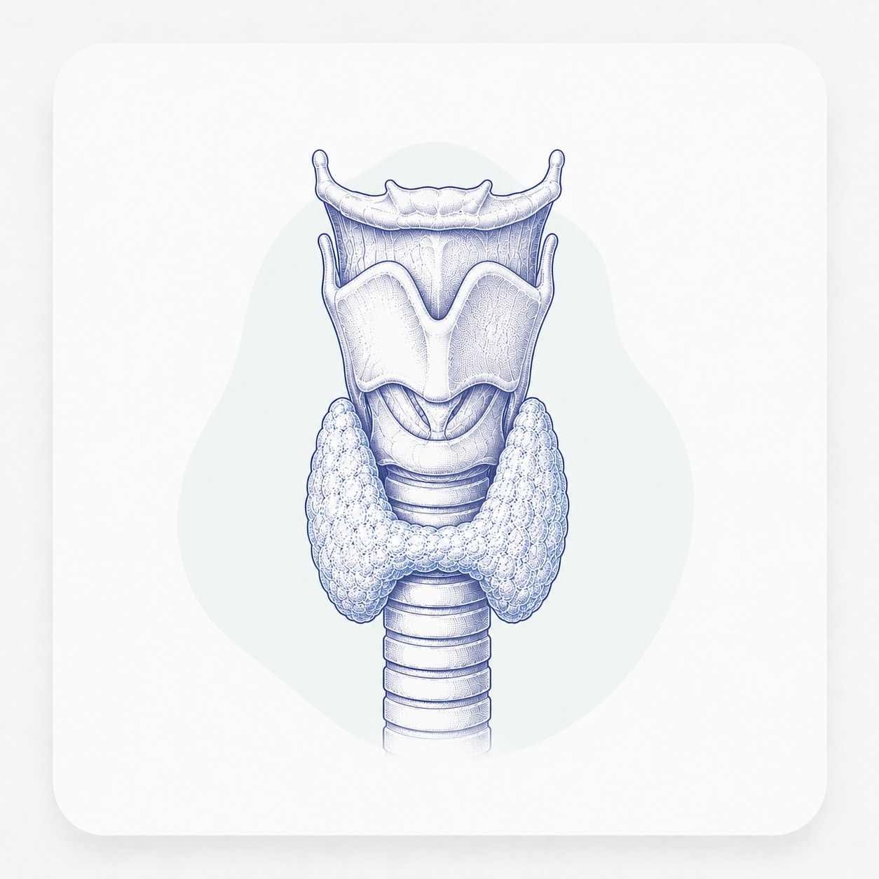 https://vitrosens.com/wp-content/uploads/2026/06/Thyroid-Tests.png