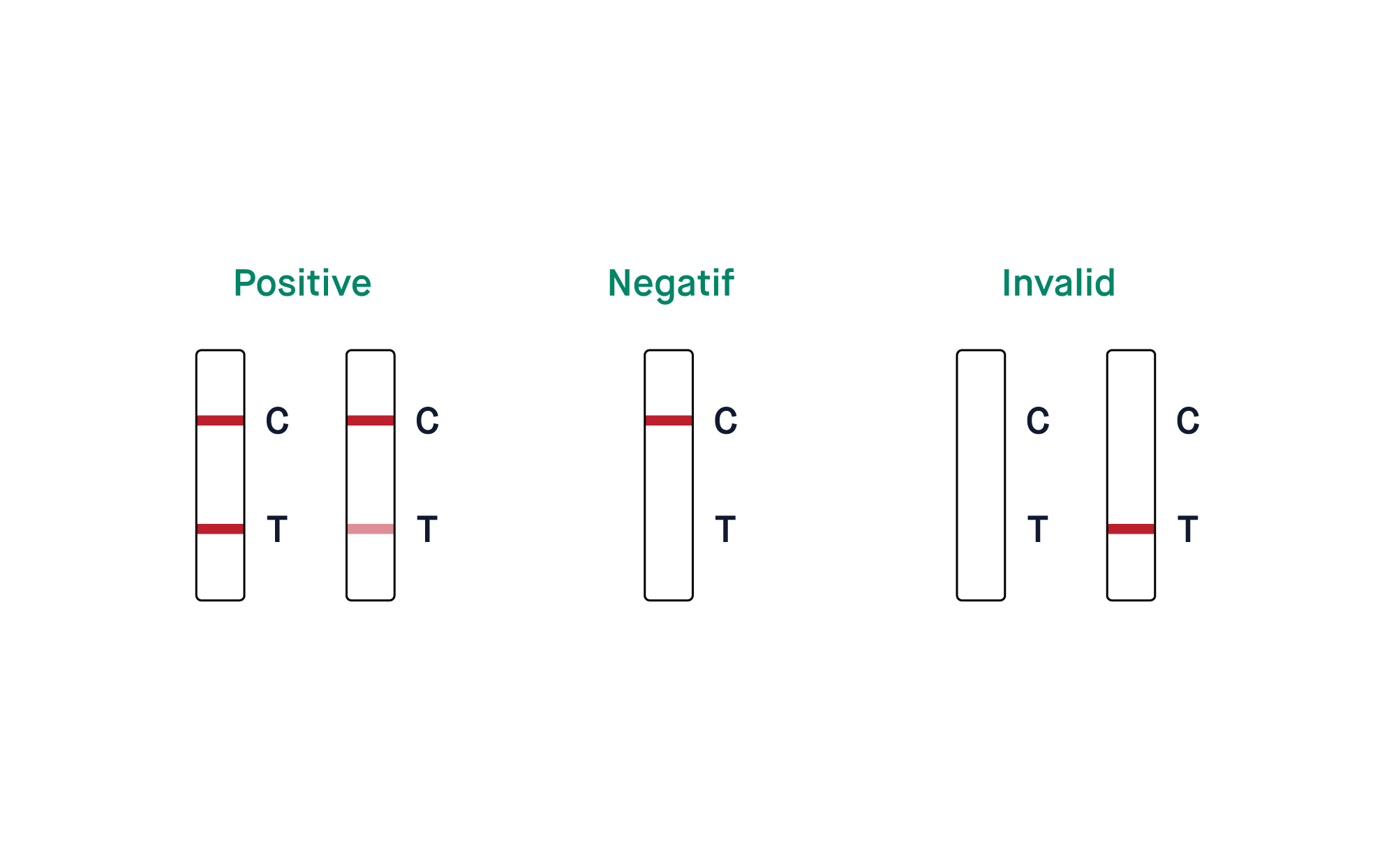 Figure 3. Interpretation of rapid test results based on the appearance of Control (C) and Test (T) lines.